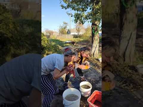 А какой сегодня