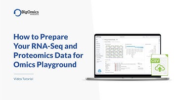 How to Prepare Your RNA-Seq and Proteomics Data for Omics Playground (2024 Guide)