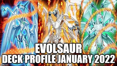 EVOLSAUR DECK PROFILE (JANUARY 2022) YUGIOH!