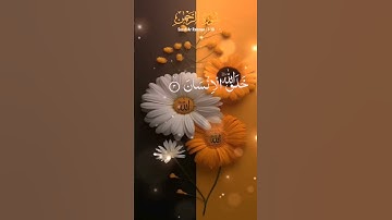 سورة الرحمن #تلاوة_خاشعة #اكسبلور #اسلام_صبحي #حالات_واتس #duet #ناصر_القطامي #لايك #ياسر_الدوسري