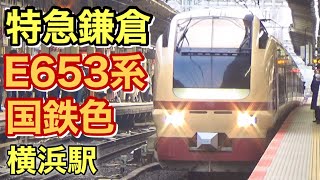 特急『鎌倉』E653系 (国鉄色) 横浜駅 2024年3月