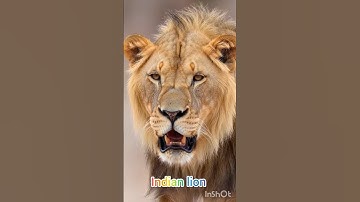 तू मिले या ना मिले ! Mahadev Status ! Bholenath Status #trendingshorts #shivstatus #shortfeed #shiv