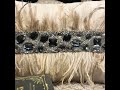 Modern Beige Linen Feather Cushion | Rhinestone Feather #embroidery #transformyourhome #pillowcover