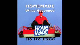 Watch Homemade What Happened video