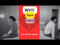 What Causes Love to Fade in Marriage and Relationships