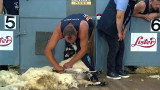 Cneifio Gwellau Masnachol - Ail rownd cyn derfynol | Commercial Blade Shearing - Second Semi Final