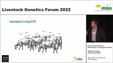 Livestock Genetics Forum 2022: Beef and sheep methane projects