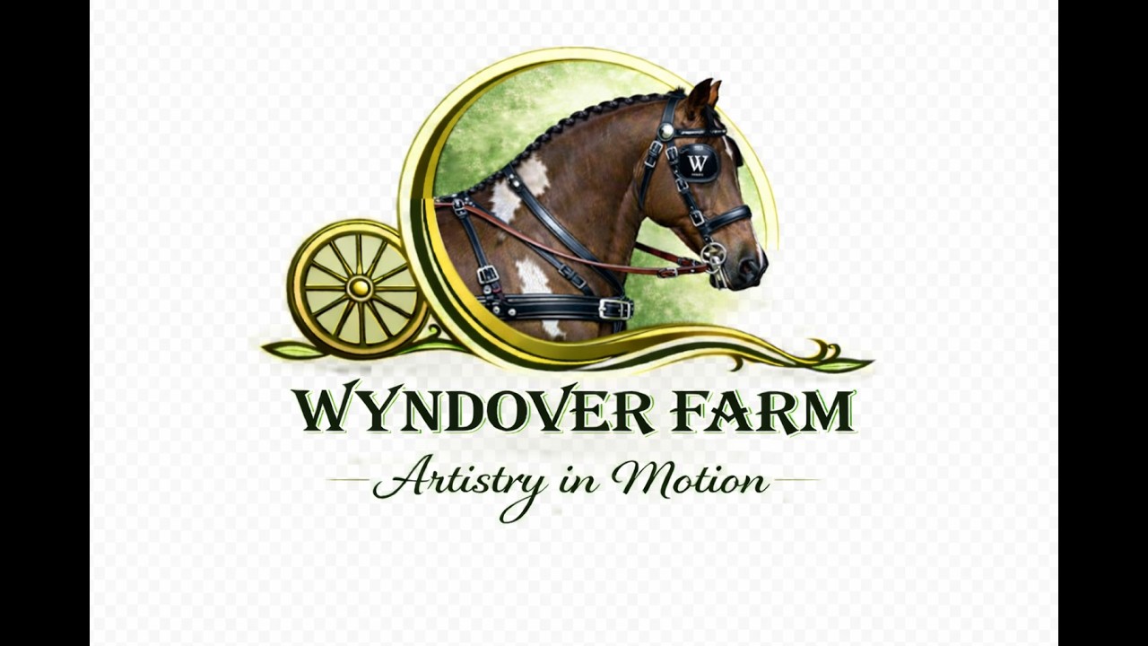 Ground Work comparison