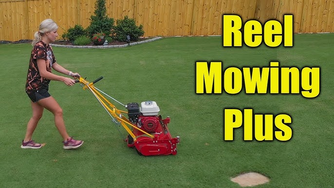 Gas Reel Mowers - Reel Mowing Low Grass 