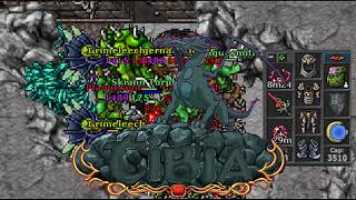 [HUNT EK SOLO] HALLS OF ASCENSION (CAMINHO LAST FERUMBRAS BOSS)