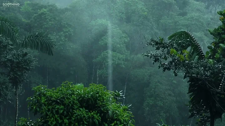 No Worries- Soft Rain Sounds with Relaxing Music for Sleep & Meditation