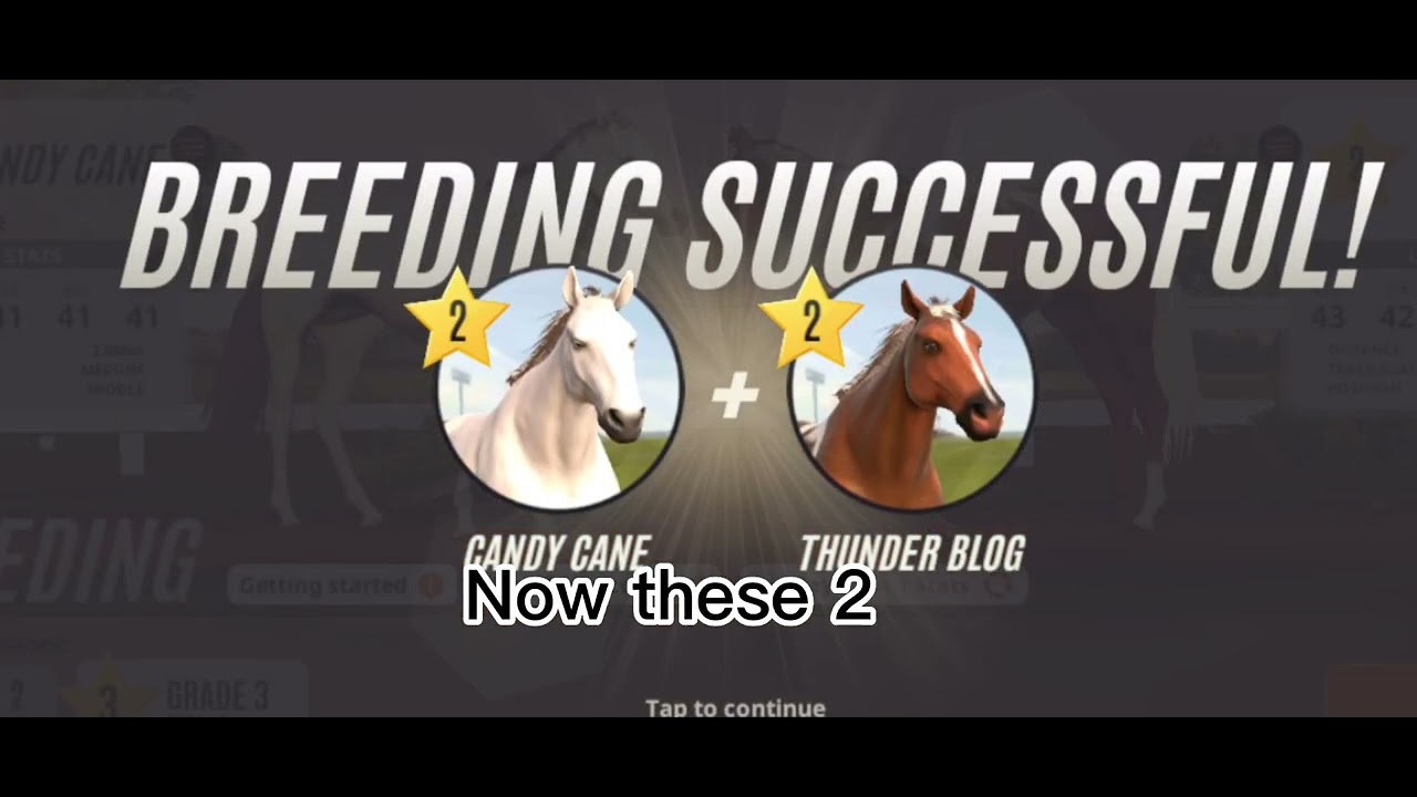 Rival Stars Horse Racing trying to breed rare coats YouTube