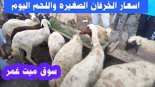 اسعار الخرفان الصغيره والخرفان اللحم اليوم