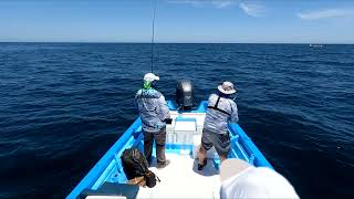 Panga Fishing - Loreto Baja California Sur, Mexico - Yellowtail \/ Cabrilla - Day 1 - Sea of Cortez