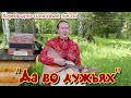 &quot;Да во лужьях&quot;. Хороводно-плясовая песня под балалайку. Поёт София Горбунова.