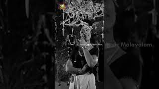 Kathirmandapamorukki Video Song | Manthrakodi Movie Songs | Prem Nazir | Vijayasree | ytshorts