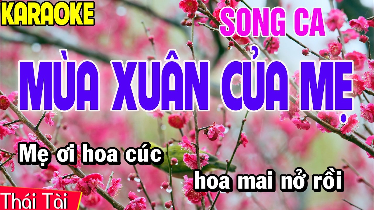 Mùa Xuân Của Mẹ Karaoke Song Ca | Thái Tài