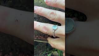 Mushroom spores