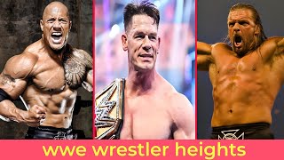 top 5 wwe wrestlers whose real height may surprise you