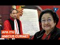 Megawati kirim surat amicus curiae ke mahkamah konstitusi apa itu