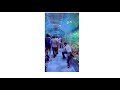 Aquarium Visit #aquarium #kidsvideo #travel