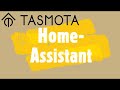Home Assistant การใช้งาน Firmware Tasmota ตอนที่ 2  (Esp8266+Pzem004T)