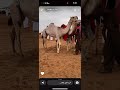 غير ابن هياي
