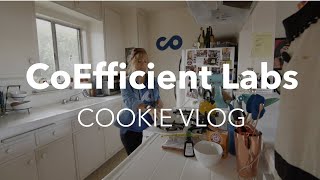 Chocolate Chip Cookies Made Us Almost 60,000