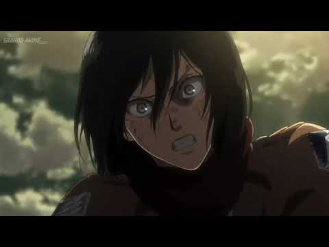 ميكاسا ضد ليفاي