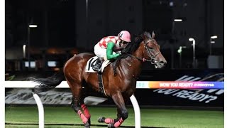 10月17日川崎競馬場11Rで矢野貴之騎手が地方競馬通算3000勝を達成!!現役の地方競馬騎手では11人目 1万9998戦目での達成