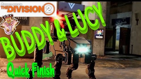 BUDDY AND LUCY  (Quick Finish) | The Division 2 | RAID