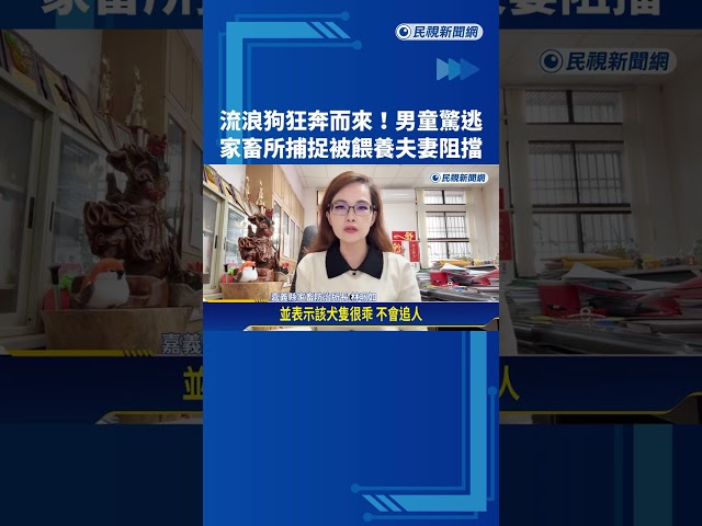 流浪狗狂奔而來! 男童驚逃 家畜所捕捉被餵養夫妻阻擋－民視新聞