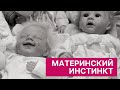 Материнский инстинкт. Самая хорошая / самая плохая мама