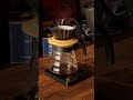 Siolim Coffee - Yeast Fermented Naturals Salawara Estate #specialtycoffee #specialtycoffeeroaster