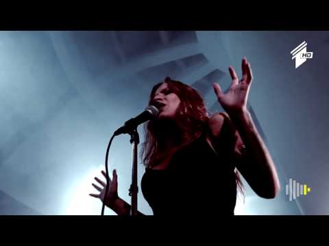 #ცოცხალი Gravity Project - Lion Lives On