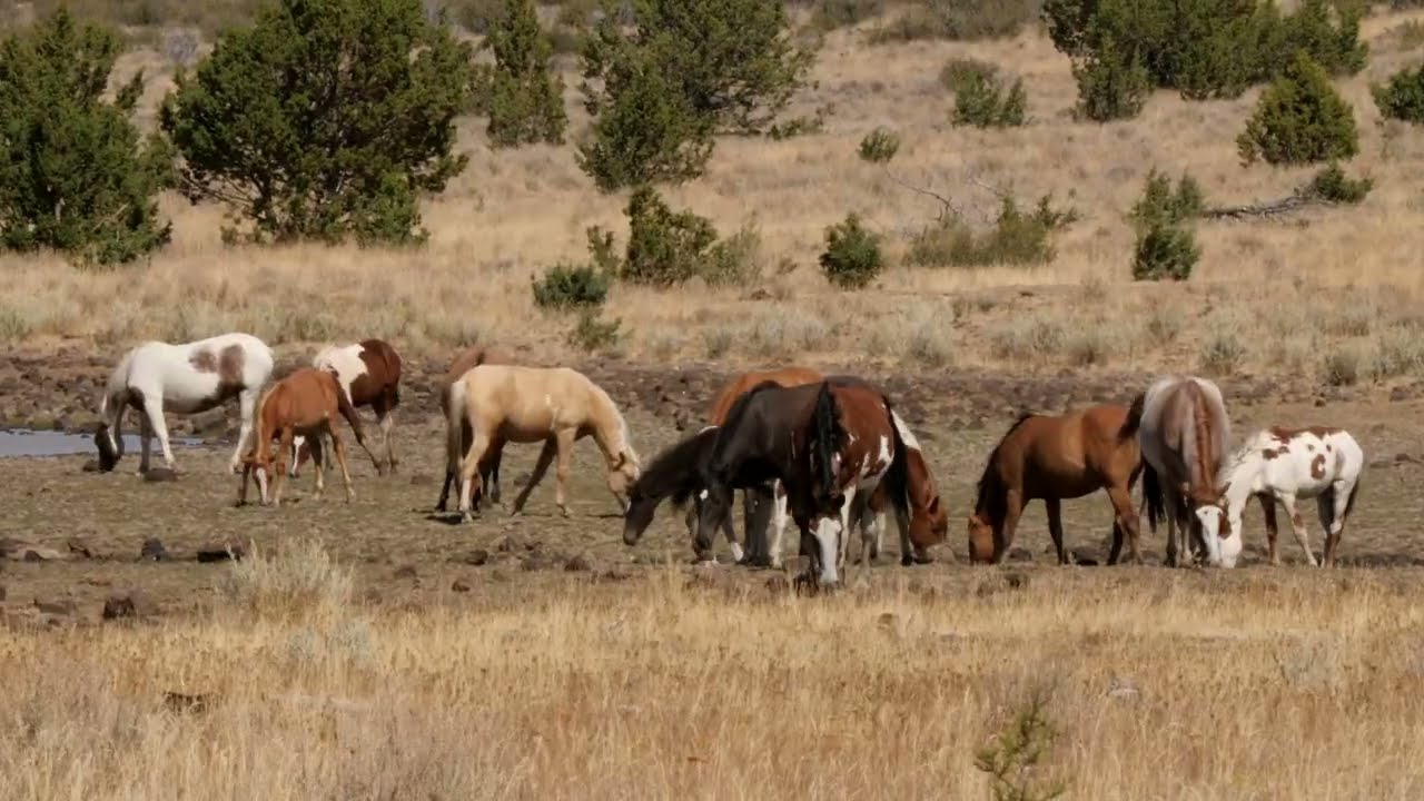 Malheur National Wildlife Refuge September 2019