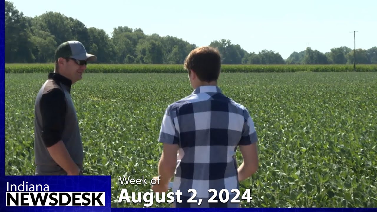 Farmers continue to be battered by low corn prices - YouTube