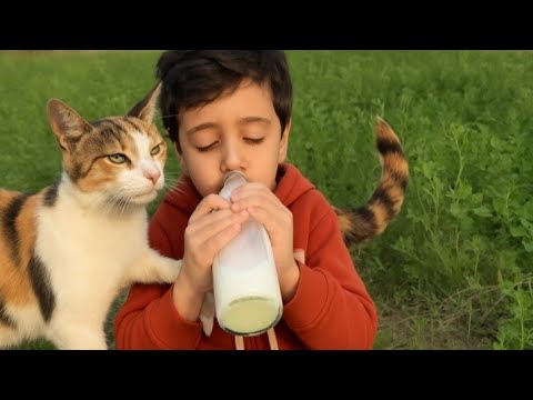 اكسبلور مجودي Funny جودي