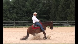 Three Ways to Teach Your Horse to Stop - Episode 21 (Herm Gailey)