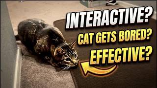 This Automatic Cat Toy Keeps Cats Busy for Hours!