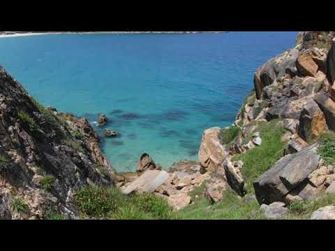 Video OCEAN MAN QUY NHON - CHECKING THE HEALTH OF CORAL... - youtube