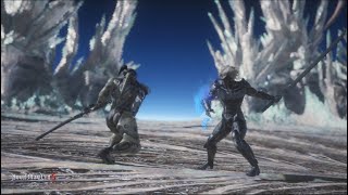 Raiden Vs Jetstream Sam Devil May Cry 5