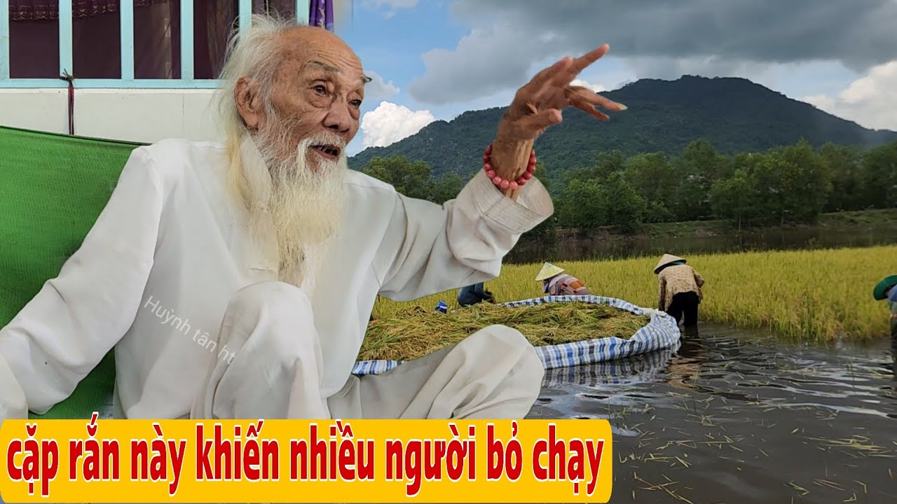 Thầy Rắn Ông Tư Đền Kể Chuyện Rết Khổng Lồ Và Cặp Rắn Hổ Mây Khủng Tại Núi Bà Đội 