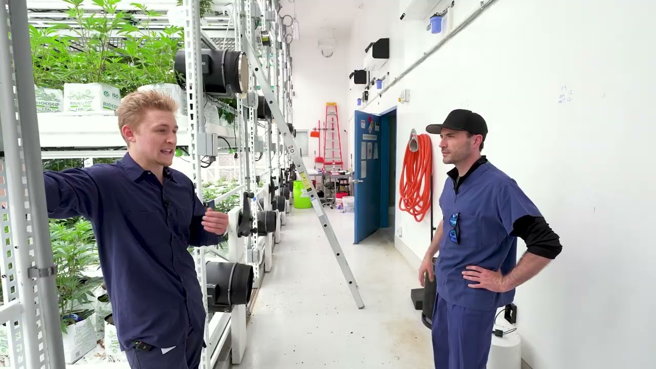 Inside Omnino's Cultivation Facility