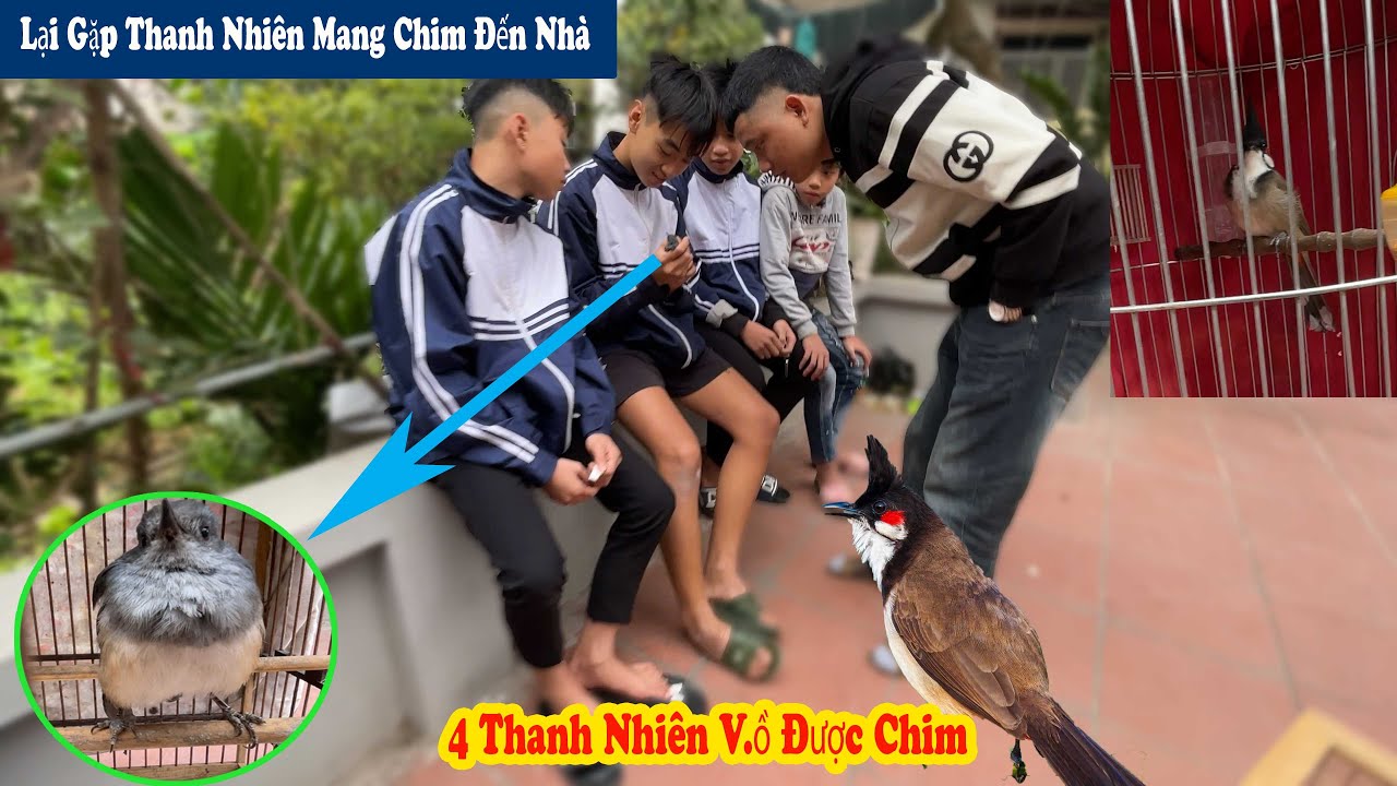 Bất Ngờ Bốn Thanh Nhiên Trong Làng V.ồ Được Con Chim Mang Đến Nhà Mình // Chiến Ơi