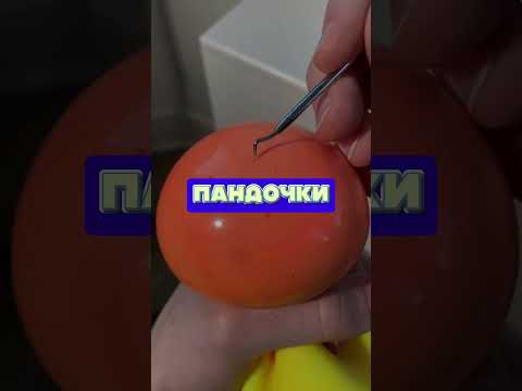 Шокирующие Факты Которые Заставят Тебя Задуматься🫨