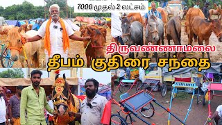 திருவண்ணாமலை  குதிரை சந்தை    thiruvannamalai horse market 2023 #pannaiveedu #thiruvannamalai