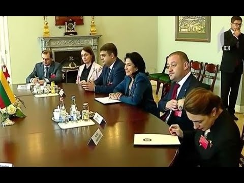 სალომე ზურაბიშვილი ლიეტუვას ეწვია