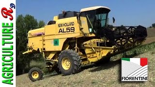 New Holland AL 59 - Trebbiatura sorgo 2016 - Lavorazioni Agricole Fiorentini