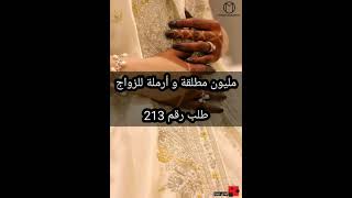 طلب رقم 213